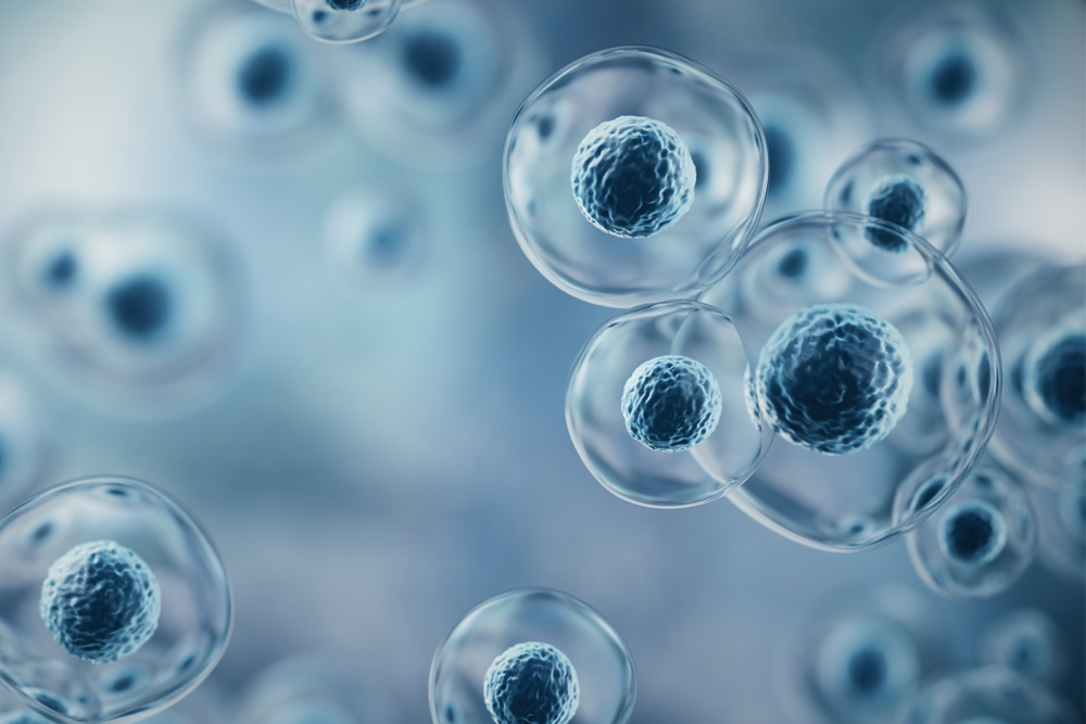 <span class="sub">Infrastructure Development for Microgravity Utilization</span>宇宙実験システム開発
