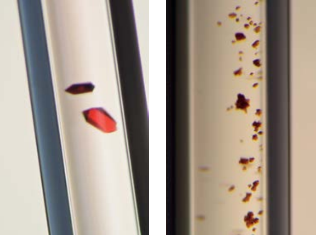 国際宇宙ステーション「きぼう」の高品質タンパク質結晶化実験サービスでJAXAの民間パートナーに選定～創薬支援などライフサイエンスR&D領域に貢献～