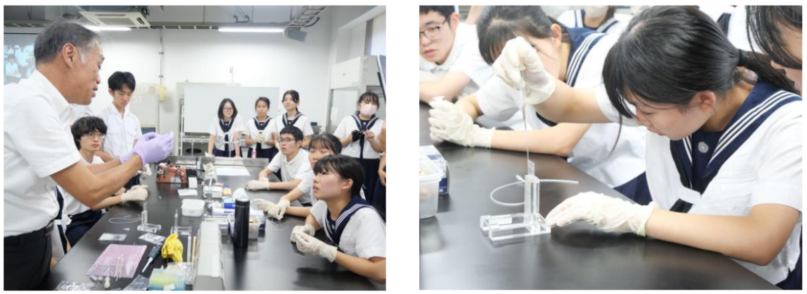 学習院高等科・女子高等科の高校生がタンパク質結晶化実験をする様子